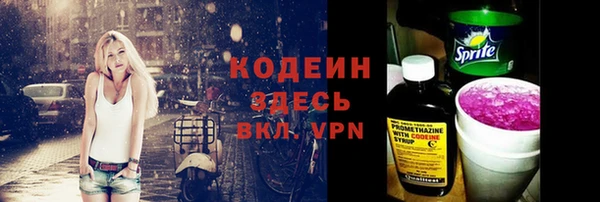 гашик Горняк