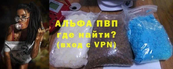 гашик Горняк