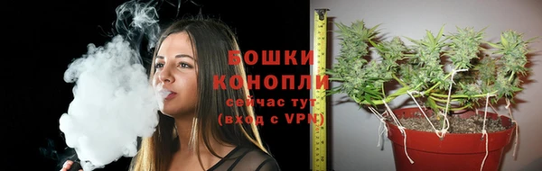 гашик Горняк