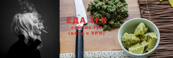 гашик Горняк