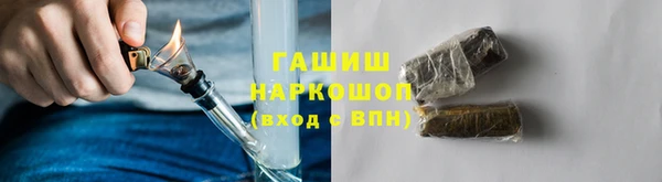 гашик Горняк