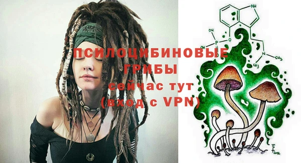 гашик Горняк