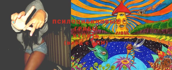 PSILOCYBIN Ступино