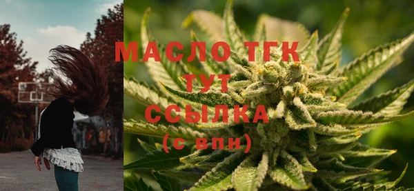 гашик Горняк