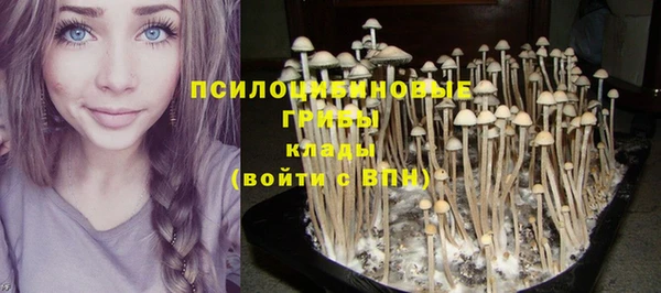 spice Горнозаводск