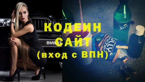 гашик Горняк