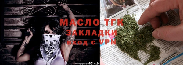 гашик Горняк