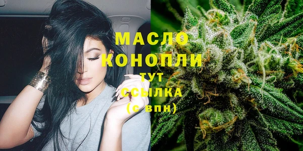гашик Горняк