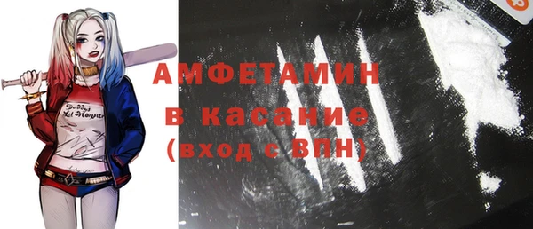 гашик Горняк