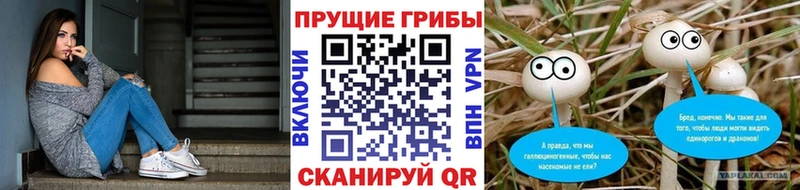 Псилоцибиновые грибы прущие грибы OMG онион Ивдель